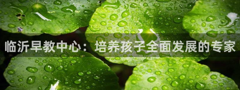 威九国际66m66模式视频：临沂早教中心：培养孩子全面发展的专家