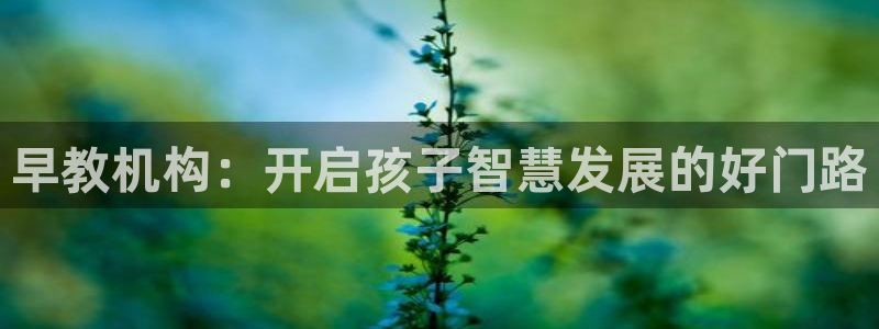 威九国际坑人的嘛：早教机构：开启孩子智慧发展的好门路
