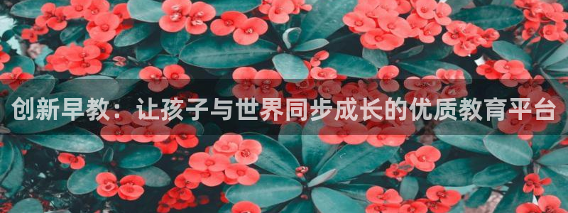 威九国际EVA：创新早教：让孩子与世界同步成长的优质教育平台