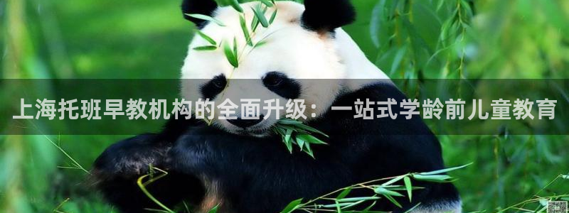 威九国际免费进入：上海托班早教机构的全面升级：一站式学龄前儿童教育