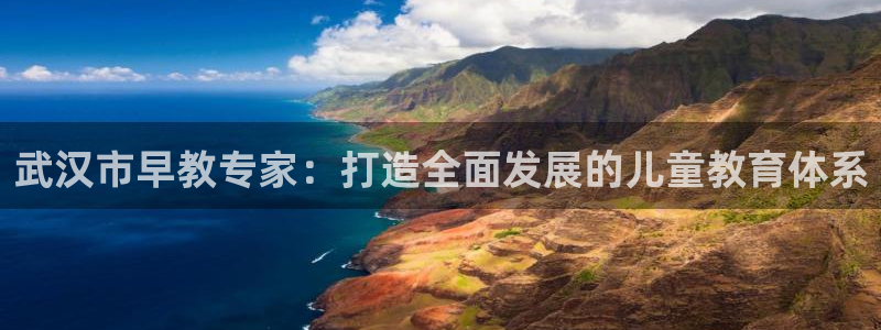 威九国际：武汉市早教专家：打造全面发展的儿童教育体系