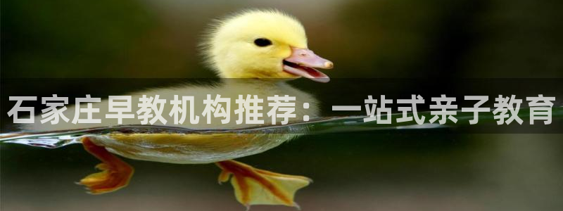 威九国际惠子：石家庄早教机构推荐：一站式亲子教育