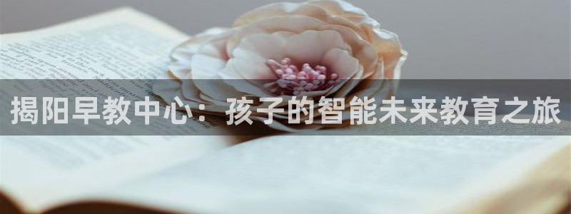 威九国际网站进入客服中心怎么退出：揭阳早教中心：孩子的智能未来教育之旅