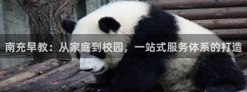 78mapp威九国际官网:南充早教:从家庭到校园,一站式服务体系的打造