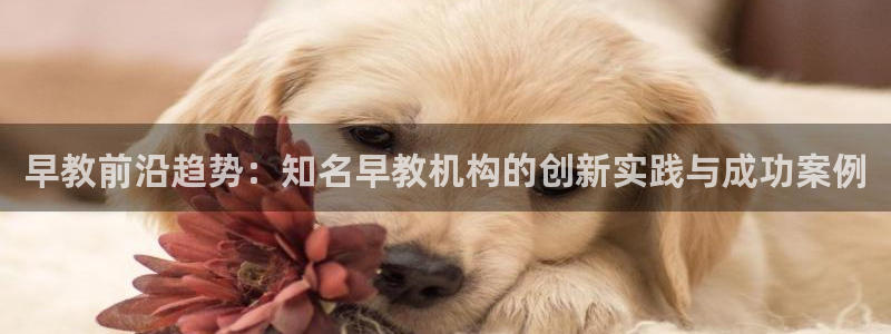 威九国际ppt免费：早教前沿趋势：知名早教机构的创新实践与成功案例