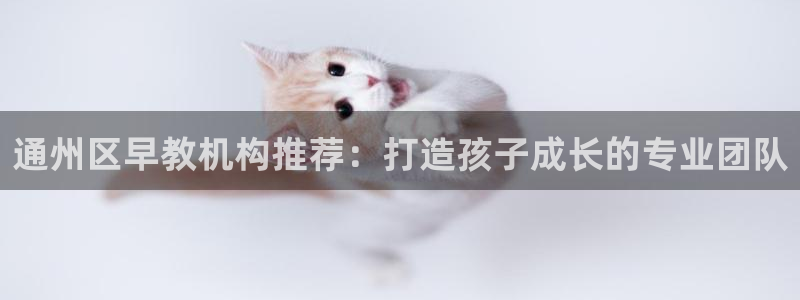 威九国际女明星：通州区早教机构推荐：打造孩子成长的专业团队