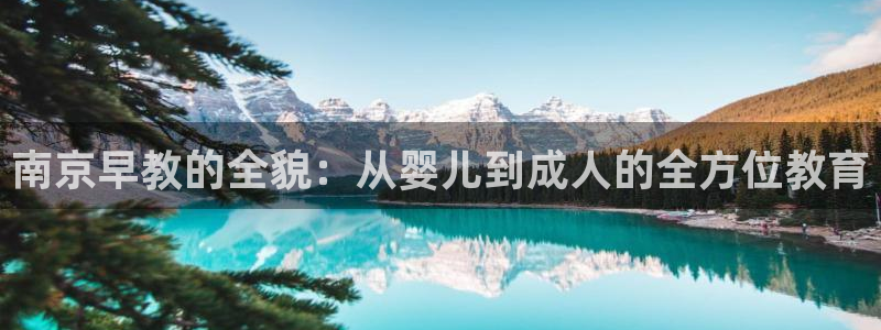 威九国际空降服务怎么样:南京早教的全貌:从婴儿到成人的全方位教育