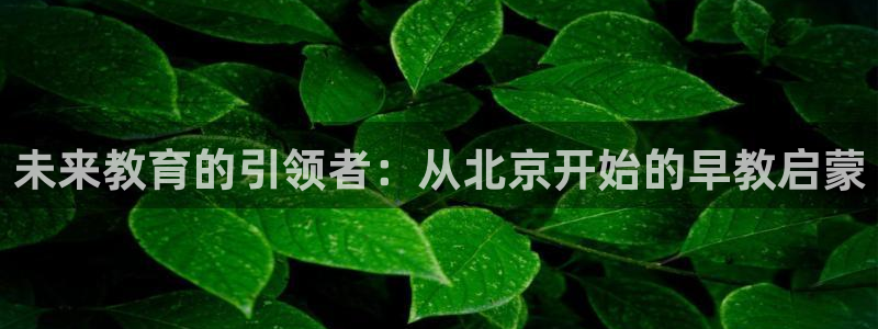 威九国际摩托电影HD：未来教育的引领者：从北京开始的早教启蒙