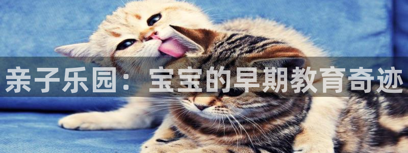 78mapp威九国际官网：亲子乐园：宝宝的早期教育奇迹