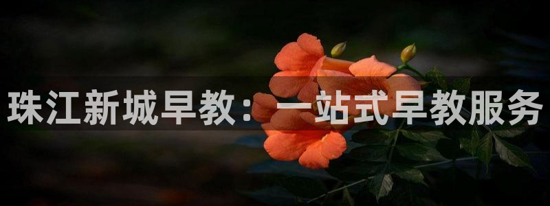 威九国际演员2023年最新作品：珠江新城早教：一站式早教服务