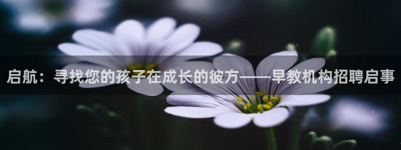 威九国际78m:启航:寻找您的孩子在成长的彼方——早教机构招聘启事