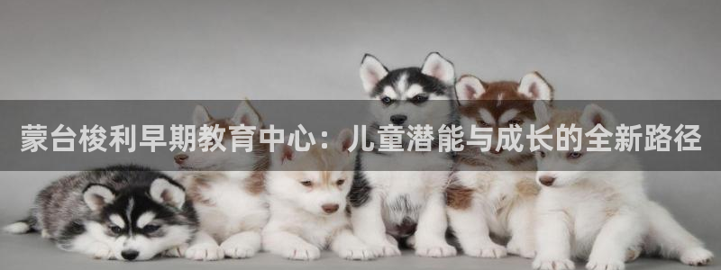 威九国际app网站安全吗：蒙台梭利早期教育中心：儿童潜能与成长的全新路径