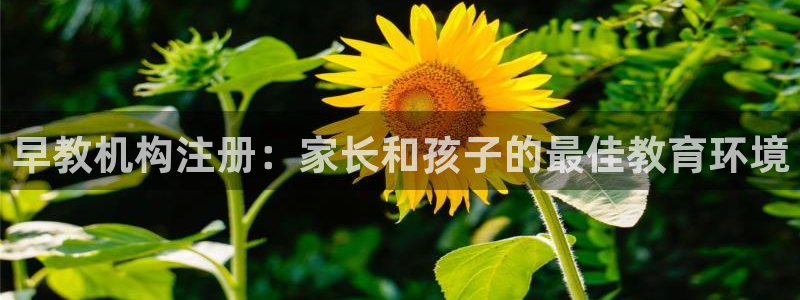 威九国际合作伙伴有哪些：早教机构注册：家长和孩子的最佳教育环境