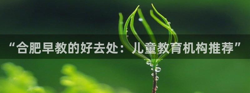 威九国际PPT：“合肥早教的好去处：儿童教育机构推荐”
