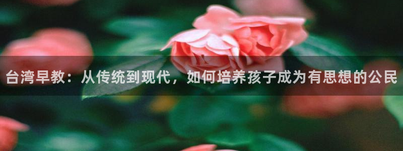 威九国际78map.p:台湾早教:从传统到现代,如何培养孩子成为有思想的公民