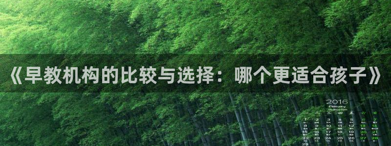 威九国际v8:《早教机构的比较与选择:哪个更适合孩子》