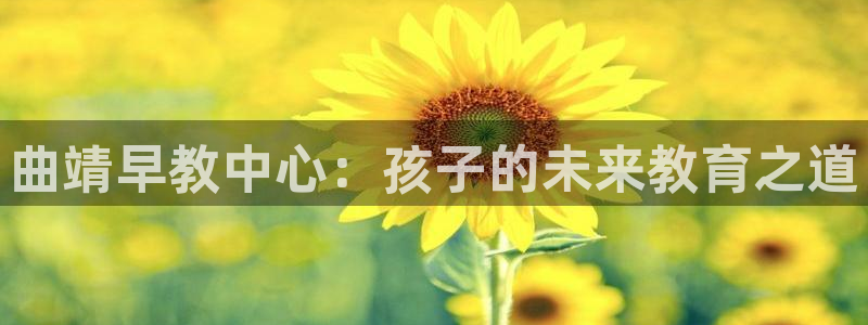 威九国际vA9618：曲靖早教中心：孩子的未来教育之道