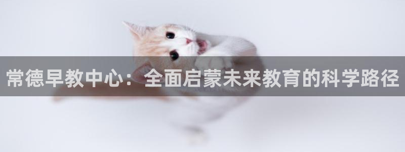 威九国际男主：常德早教中心：全面启蒙未来教育的科学路径