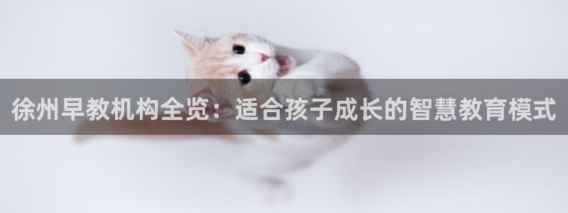 威九国际EVA：徐州早教机构全览：适合孩子成长的智慧教育模式