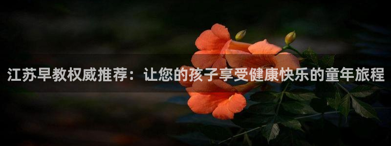 威九国际正规吗：江苏早教权威推荐：让您的孩子享受健康快乐的童年旅程
