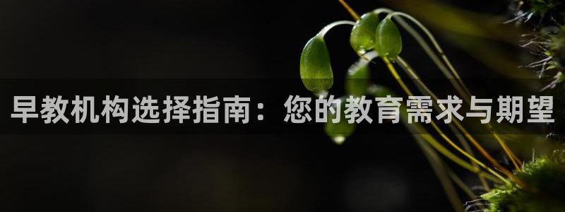 威九国际犯法吗：早教机构选择指南：您的教育需求与期望