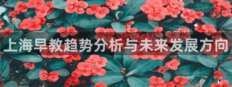 威九国际网站链接：上海早教趋势分析与未来发展方向