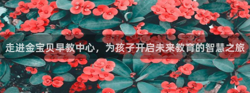 威九国际app客服电话多少：走进金宝贝早教中心，为孩子开启未来教育的智慧之旅