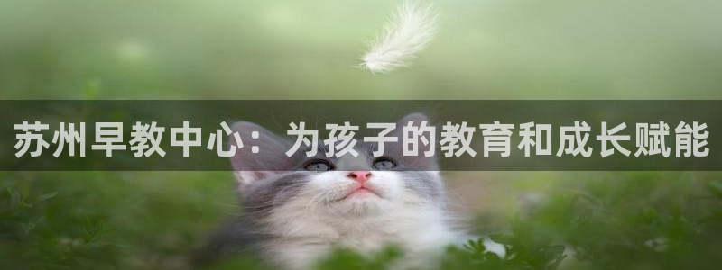 威九国际网站入口官网首页登录：苏州早教中心：为孩子的教育和成长赋能