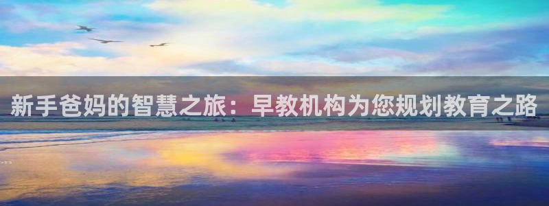 威九国际66m免费版：新手爸妈的智慧之旅：早教机构为您规划教育之路