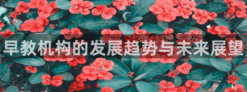 威九国际国精彩片段：早教机构的发展趋势与未来展望