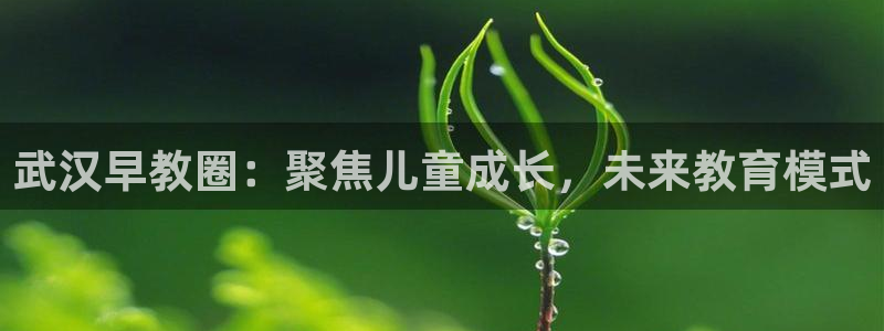 威九国际网站入口rdquo：武汉早教圈：聚焦儿童成长，未来教育模式