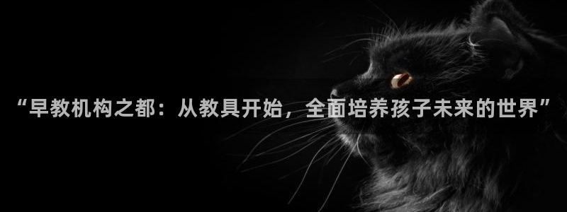 威九国际清砖码头怎么样：“早教机构之都：从教具开始，全面培养孩子未来的世界”