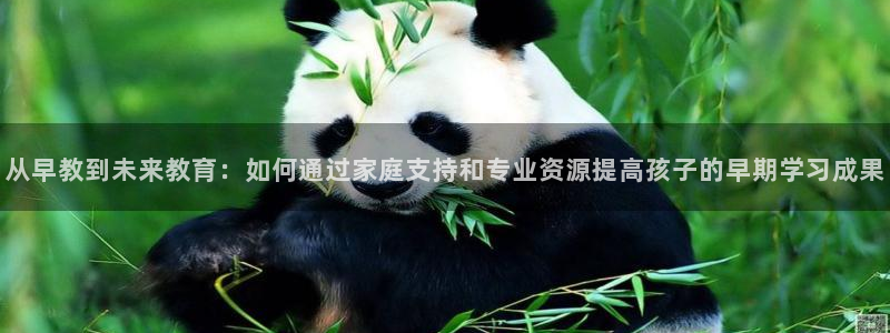 威九国际的网站入口在哪里：从早教到未来教育：如何通过家庭支持和专业资源提高孩子的