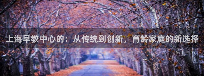 威九国际app大全下载安装：上海早教中心的：从传统到创新，育龄家庭的新选择