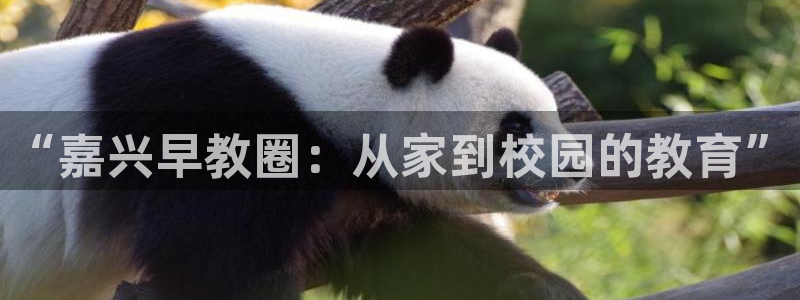 威九国际66m：“嘉兴早教圈：从家到校园的教育”