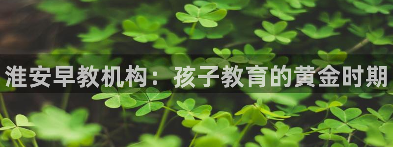 威九国际网站更新：淮安早教机构：孩子教育的黄金时期