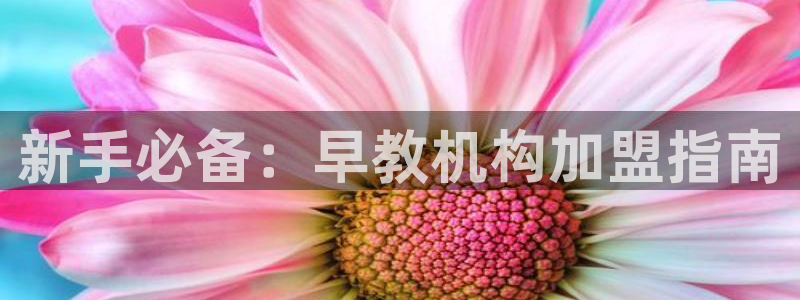威九国际软件：新手必备：早教机构加盟指南