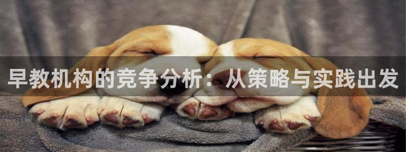 威九国际78免下载：早教机构的竞争分析：从策略与实践出发