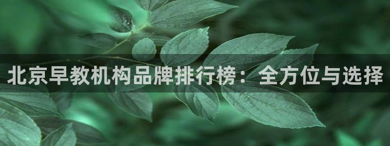威九国际8ⅹ8x：北京早教机构品牌排行榜：全方位与选择