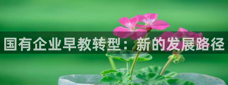 威九国际高清：国有企业早教转型：新的发展路径