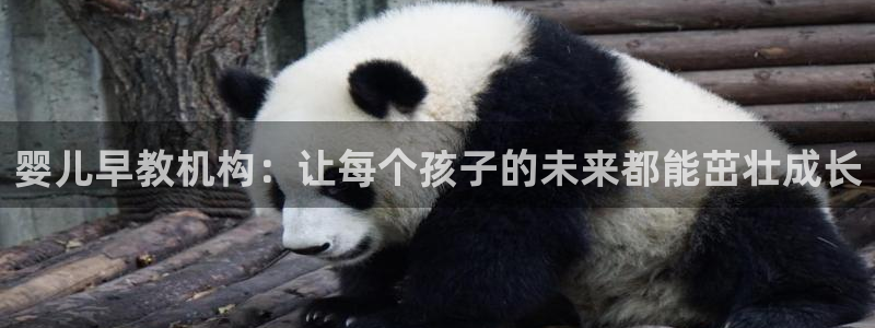 威九国际mb：婴儿早教机构：让每个孩子的未来都能茁壮成长
