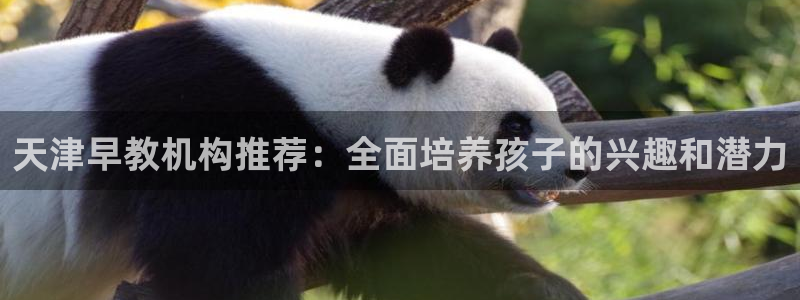 威九国际女主角：天津早教机构推荐：全面培养孩子的兴趣和潜力