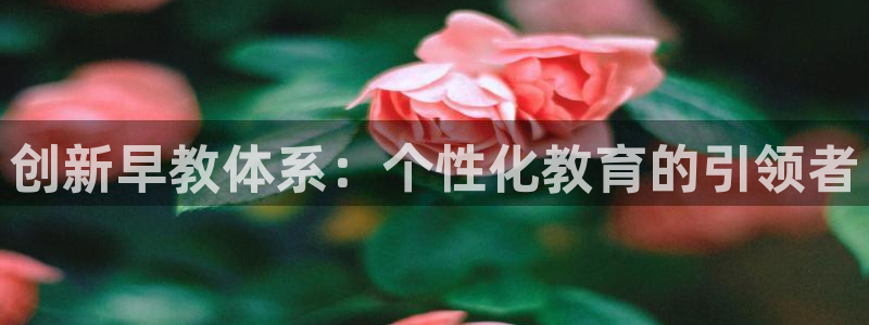 威九国际网站传媒:创新早教体系:个性化教育的引领者