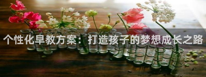 威九国际取款机怎么取：个性化早教方案：打造孩子的梦想成长之路