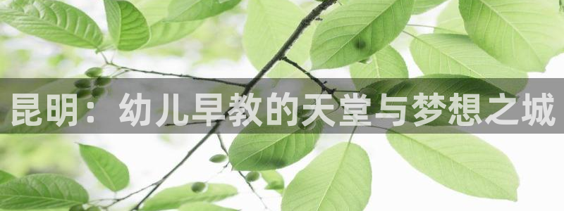 威九国际v18：昆明：幼儿早教的天堂与梦想之城