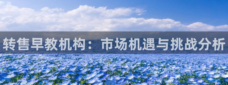 威九国际top：转售早教机构：市场机遇与挑战分析
