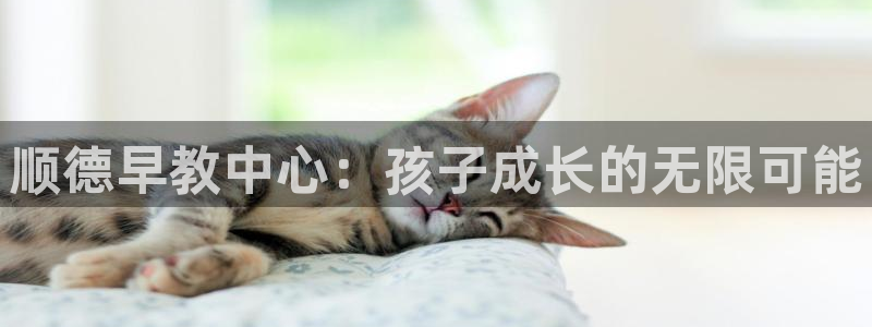 威九国际app入口在哪：顺德早教中心：孩子成长的无限可能