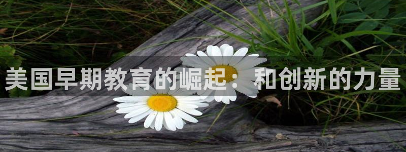 威九国际78mann：美国早期教育的崛起：和创新的力量