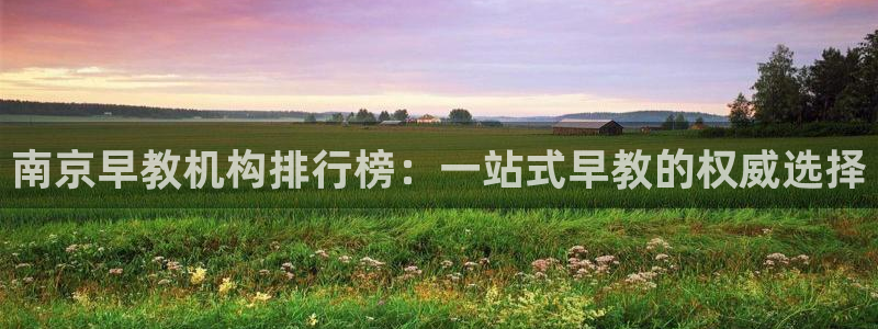 威九国际网站经常打不开网页：南京早教机构排行榜：一站式早教的权威选择