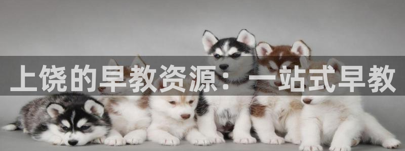 威九国际78app：上饶的早教资源：一站式早教